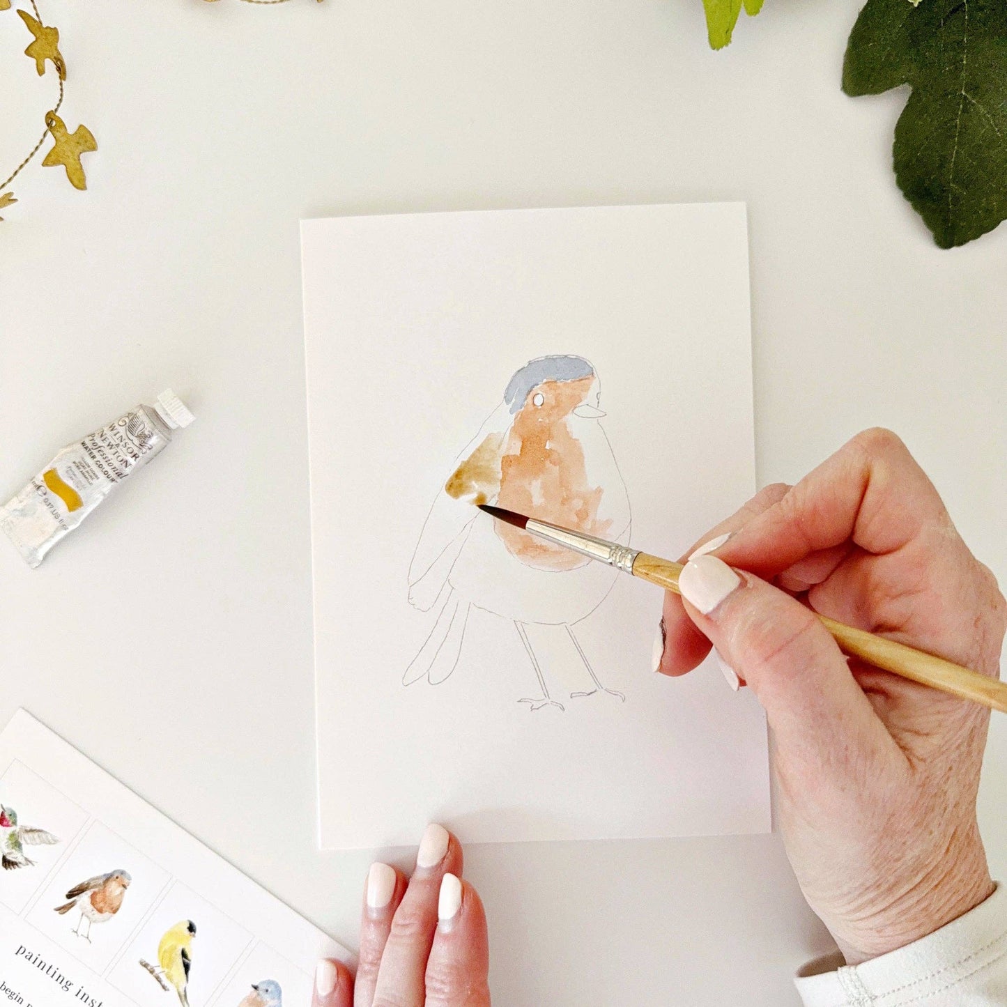 Backyard birds paintable watercolor notecard set