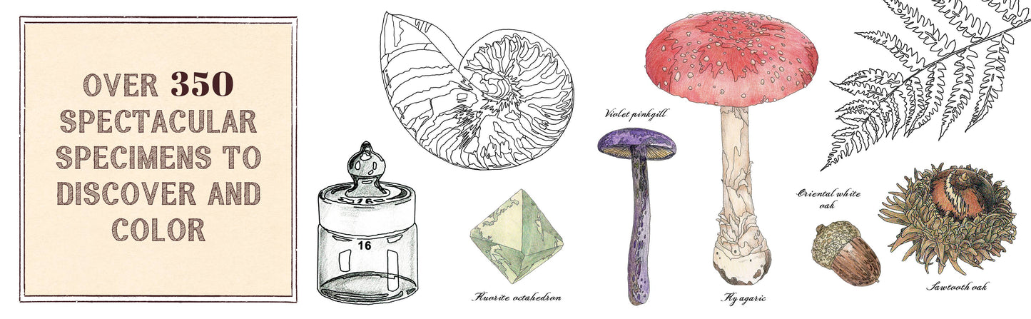 Curious Nature Coloring Journal