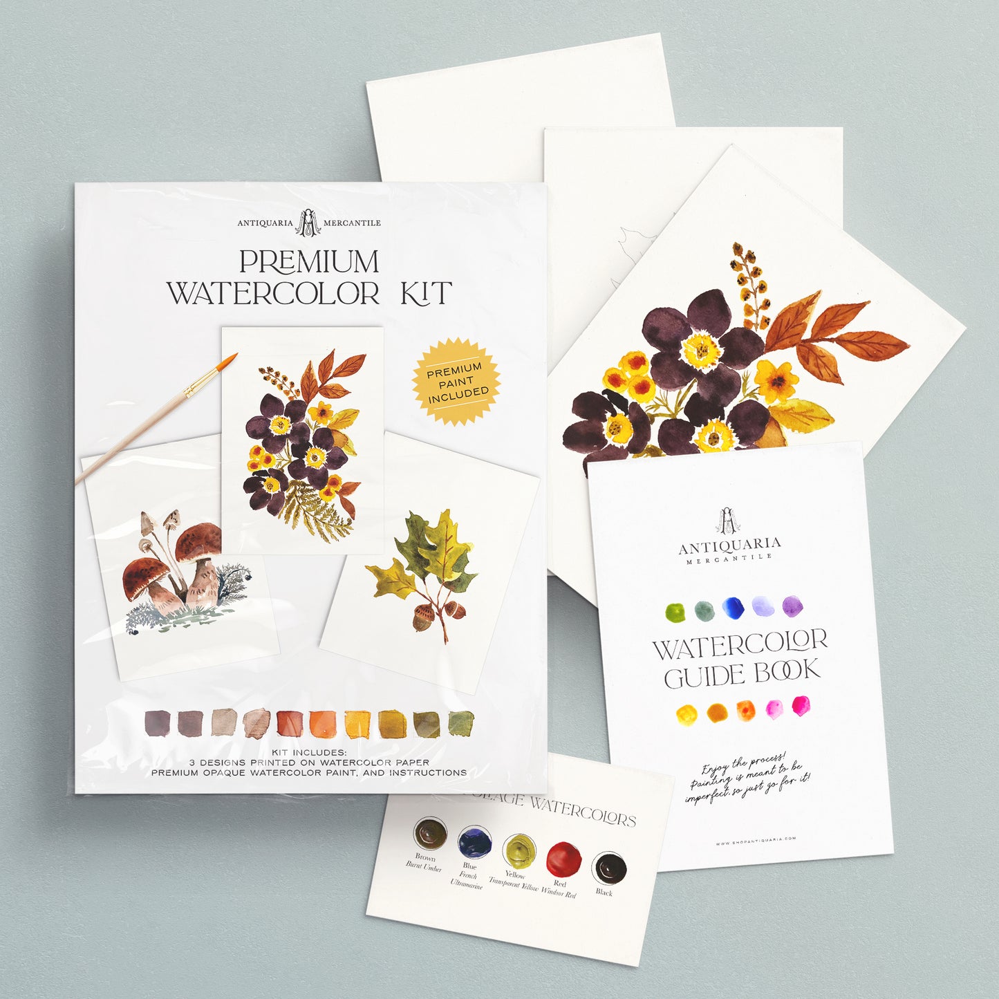 Antiquaria Watercolor Painting Kit : Autumn Botanicals