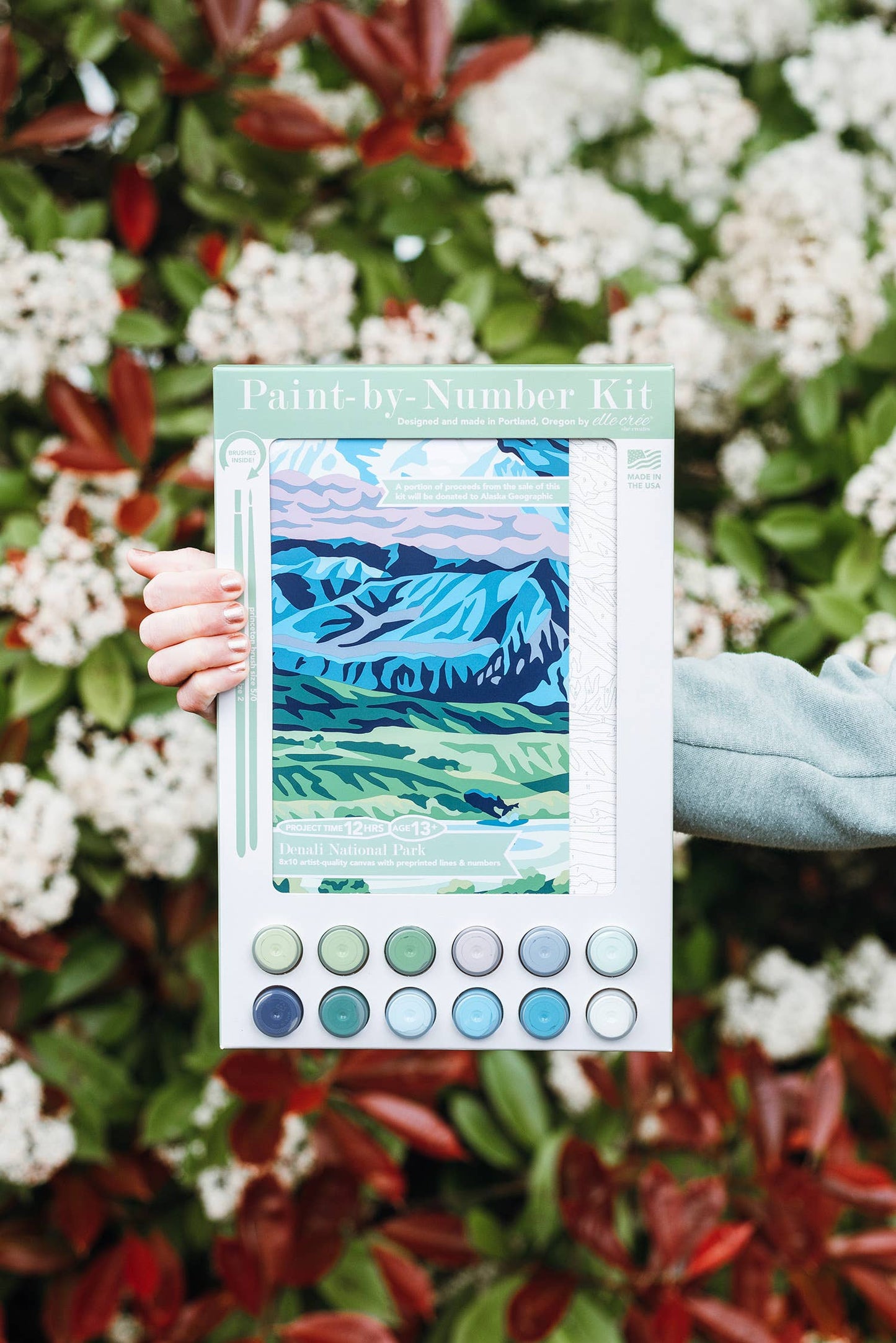 Denali National Park Paint-by-Number Kit