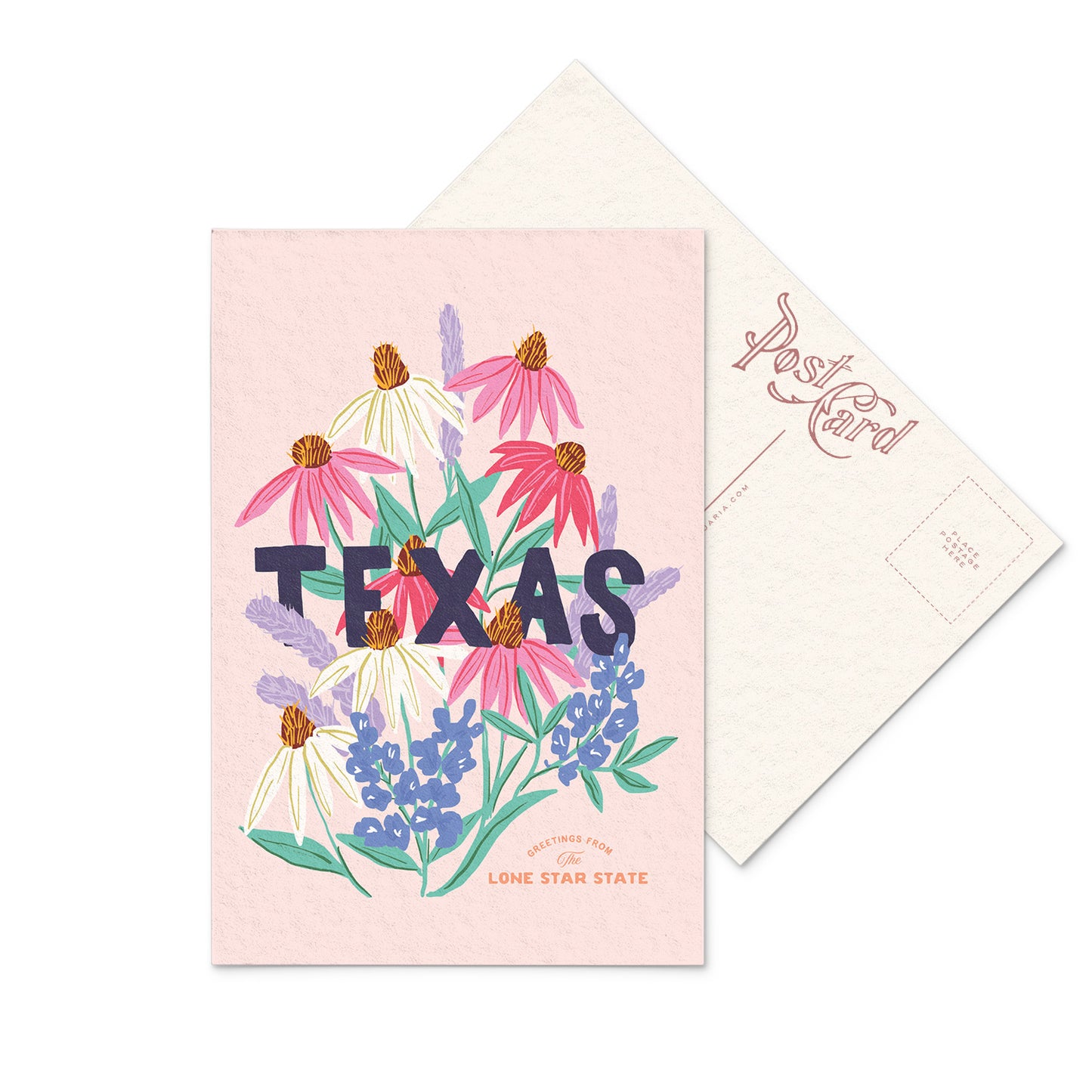 Beautiful Texas postcard showcasing the beautiful wildflowers of the state in vivid colors on a blue background.