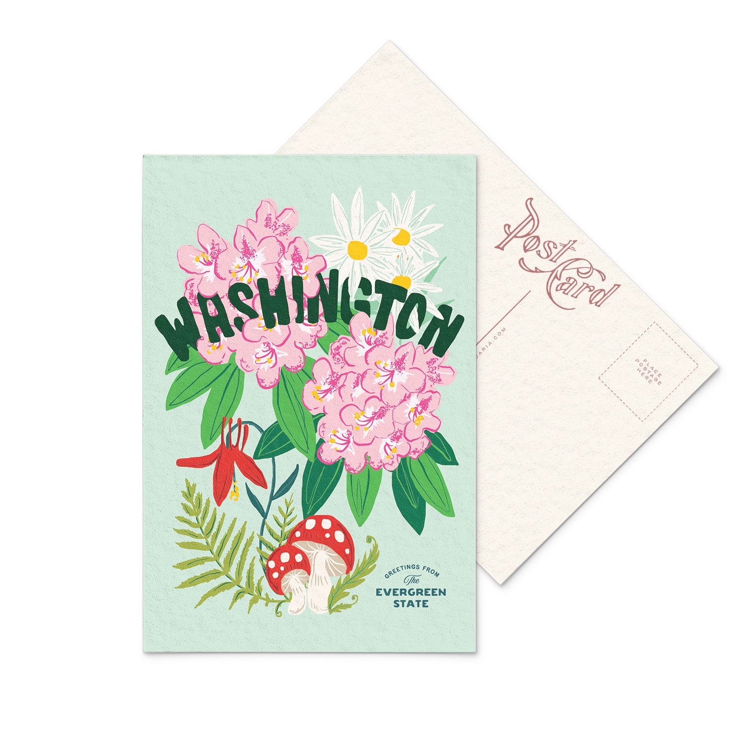 Vibrant Washington postcard highlighting the Coast Rhododendron, the state's striking pink flower along with small mushrooms and other state wildflowers.