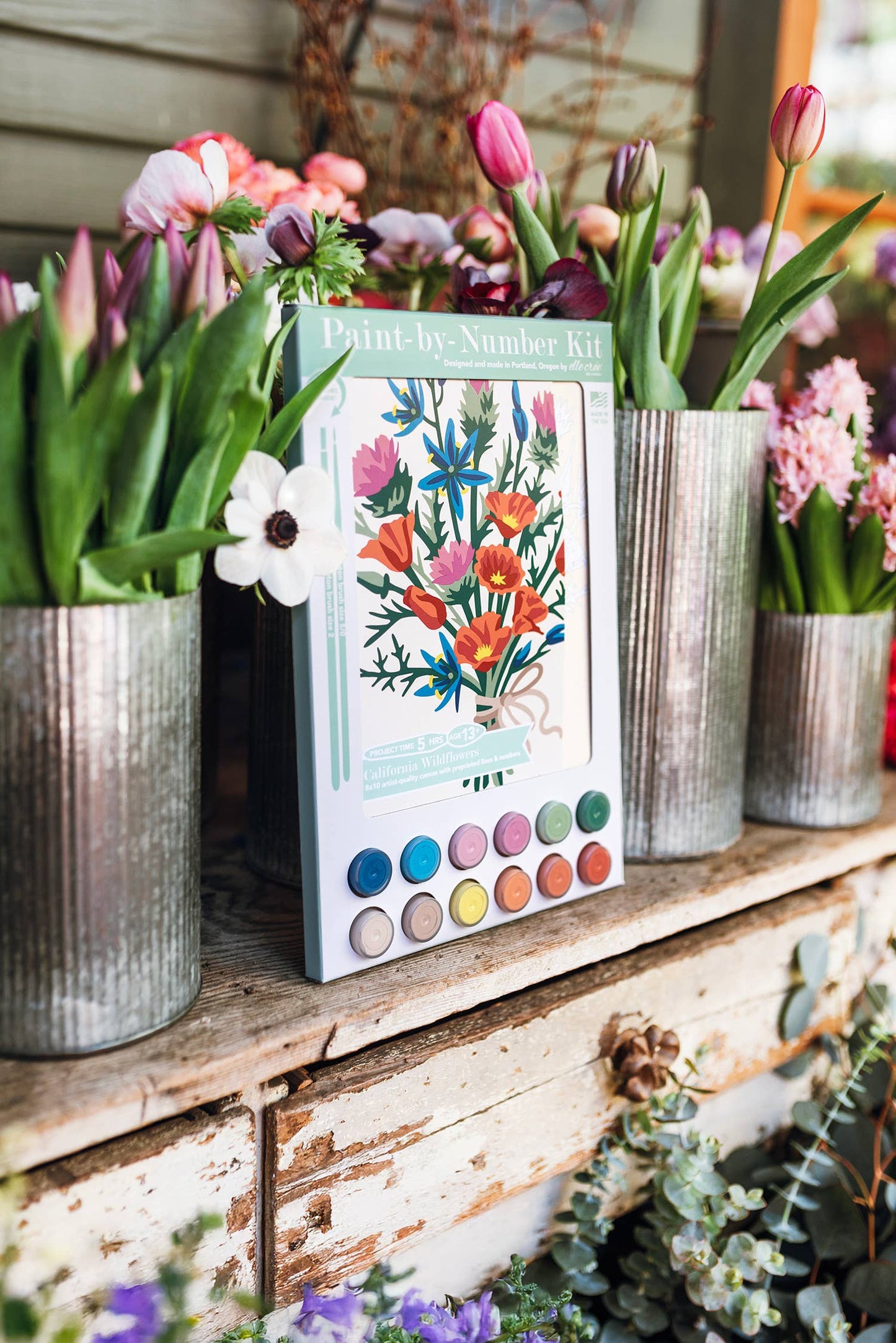 California Wildflowers Paint-by-Number Kit