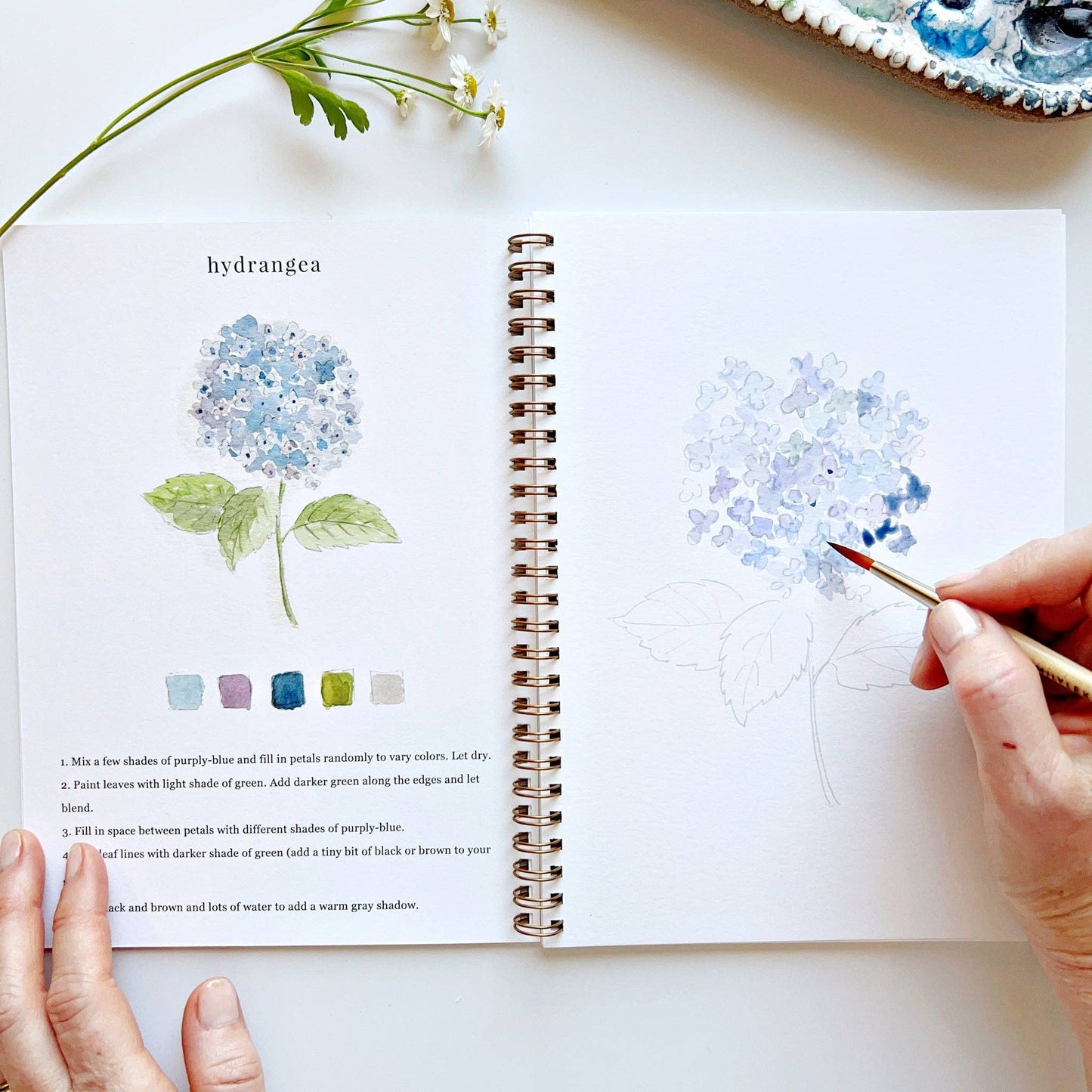 Emily Lex Flowers watercolor workbook