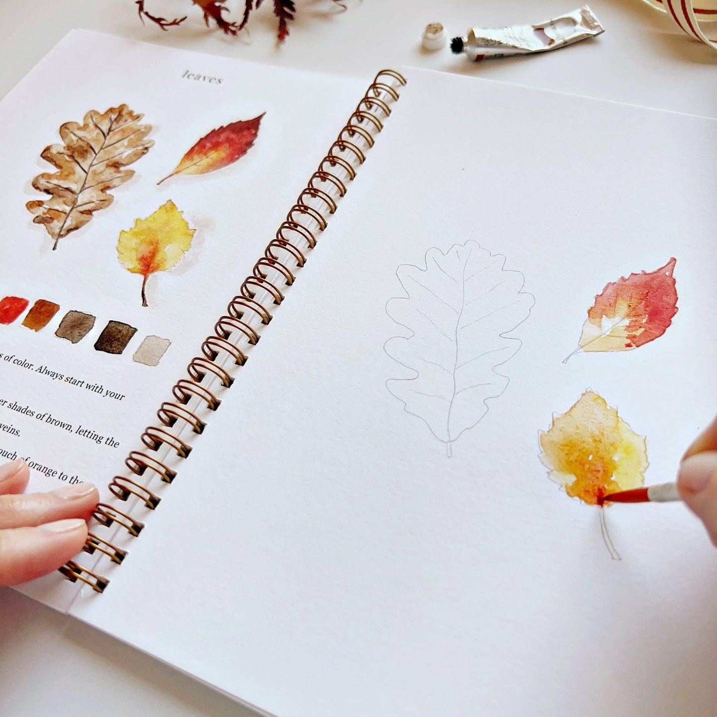 Emily Lex Autumn watercolor workbook