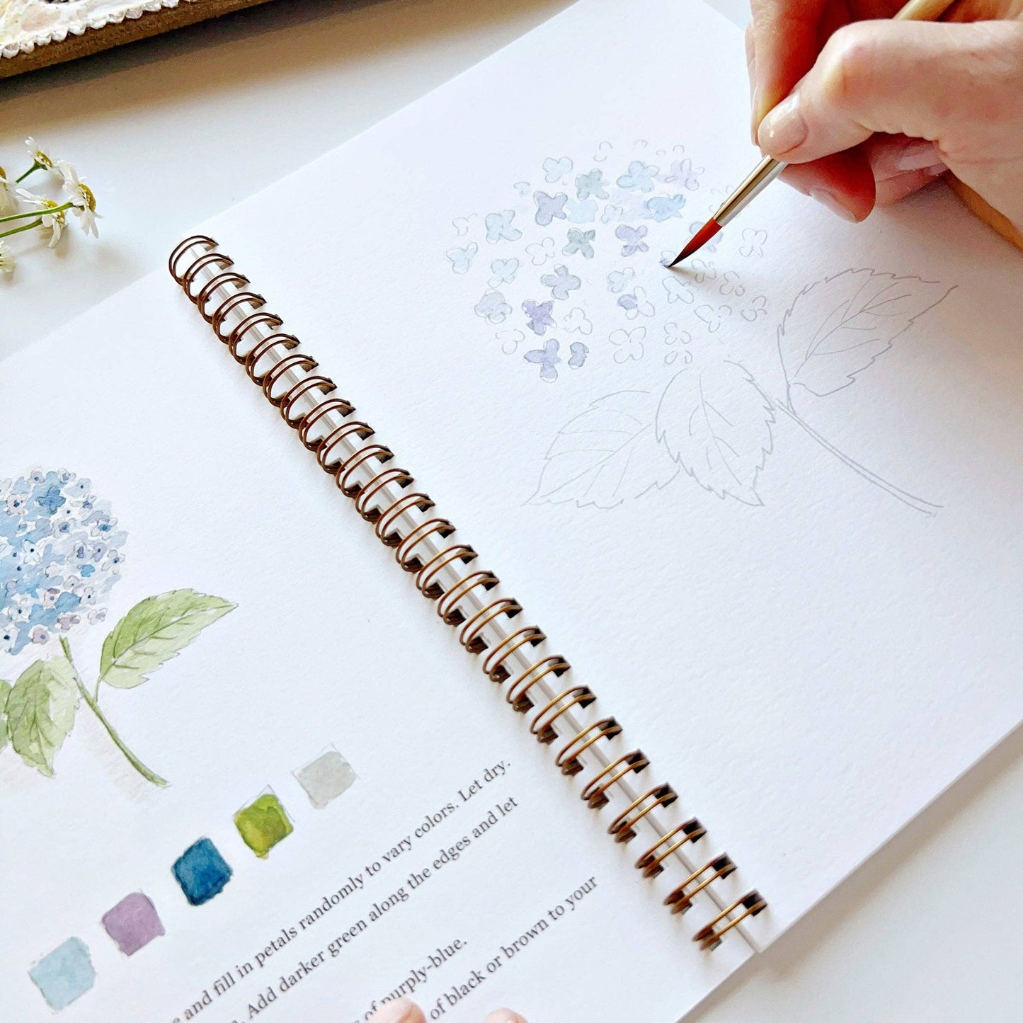 Emily Lex Flowers watercolor workbook