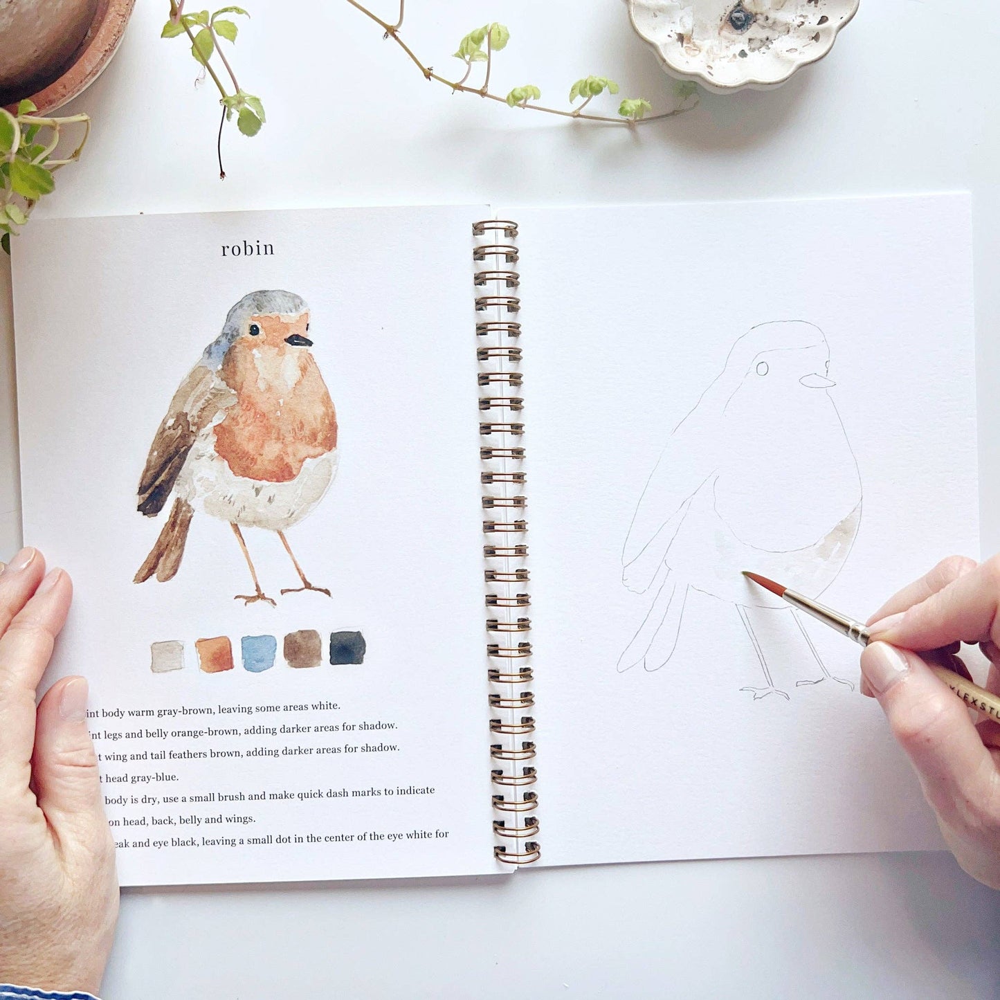 Emily Lex Birds watercolor workbook