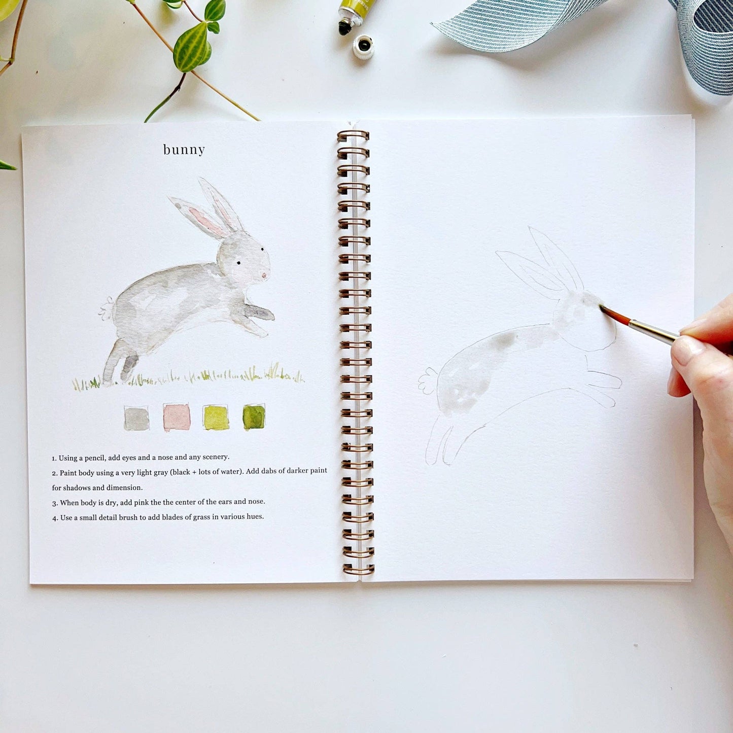 Emily Lex Animals watercolor workbook