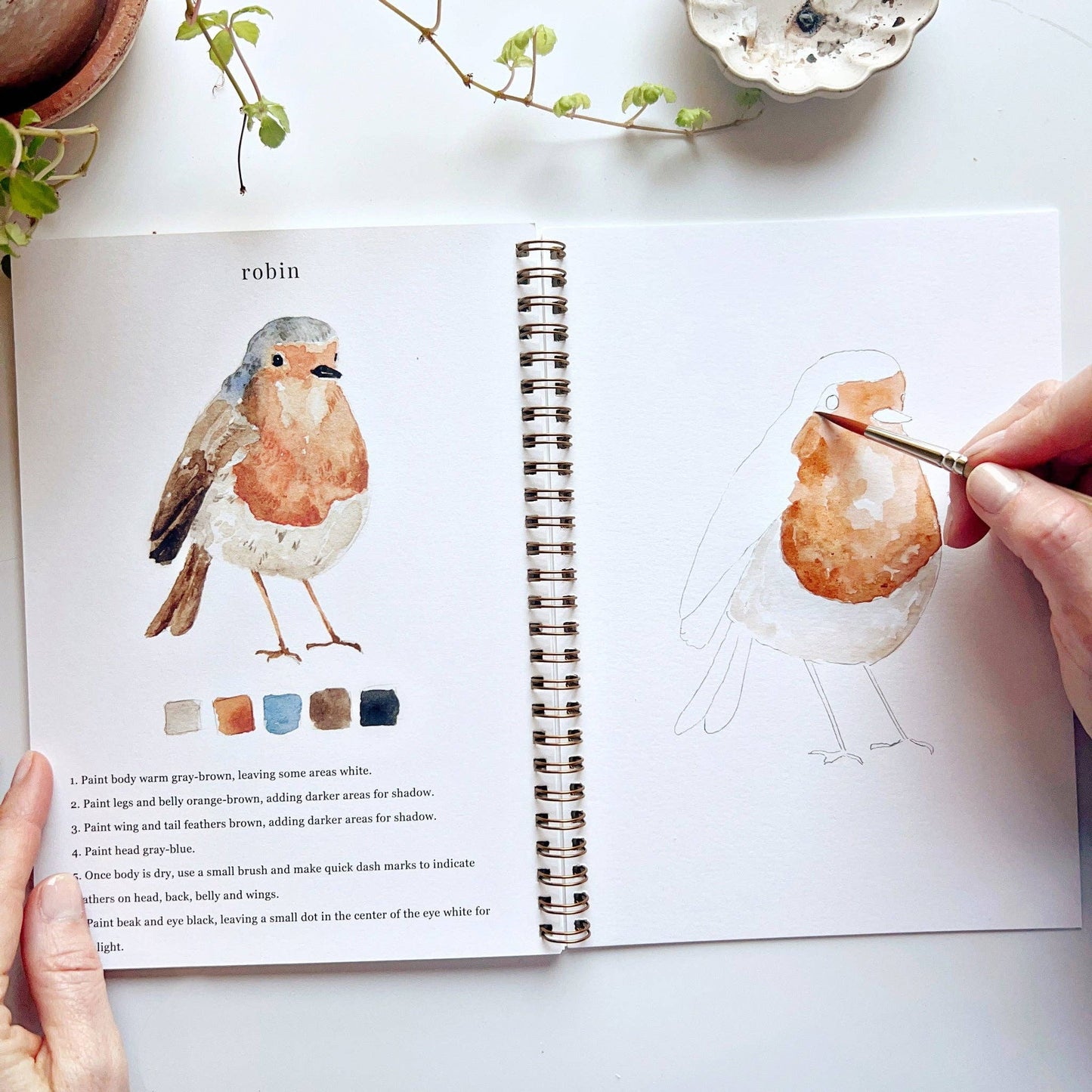 Emily Lex Birds watercolor workbook