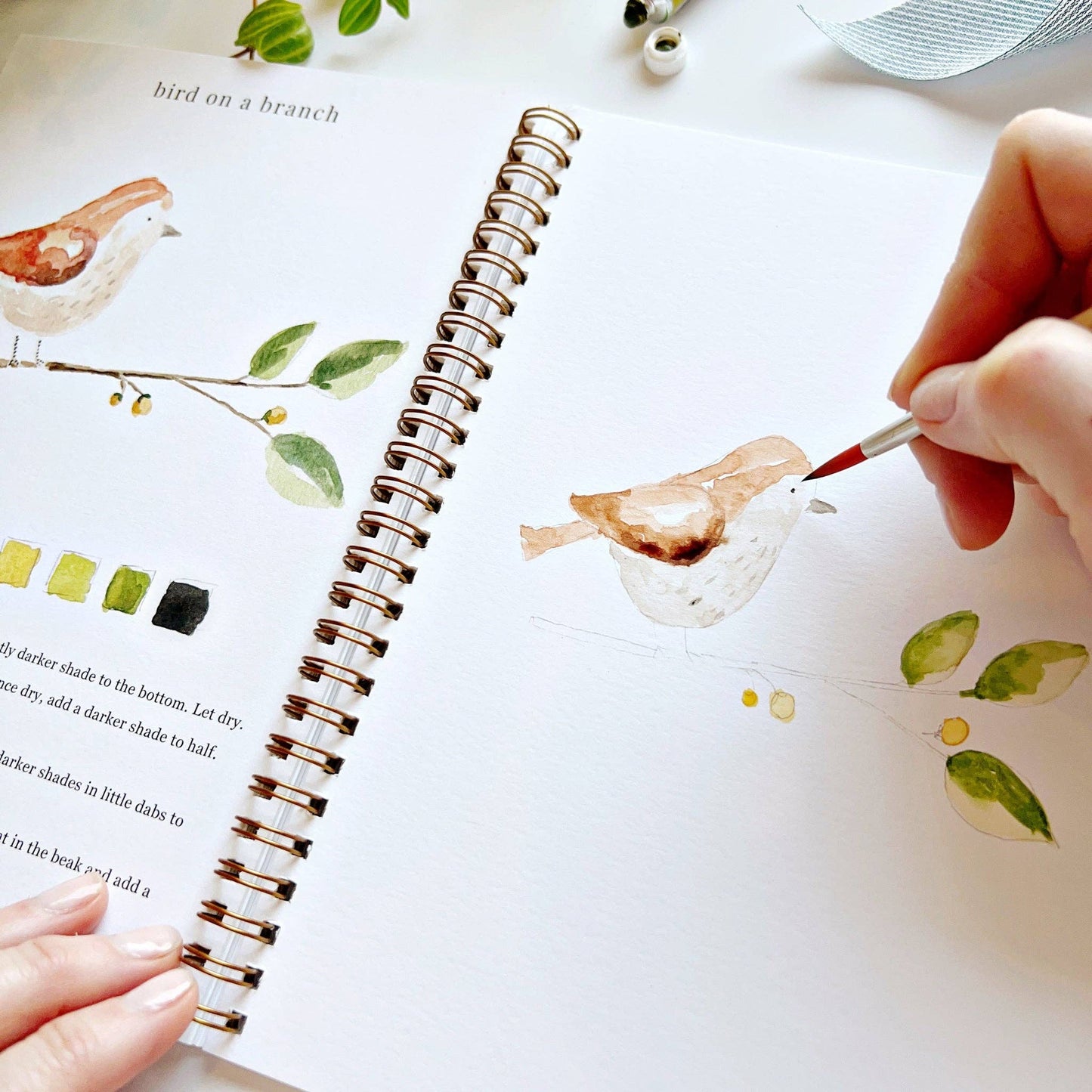 Emily Lex Animals watercolor workbook