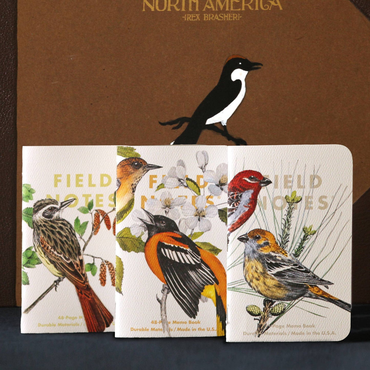Birds and Trees of North America: Pack B: Pine Grosbeak - Baltimore Oriole - Sulphurbelly Flycatcher