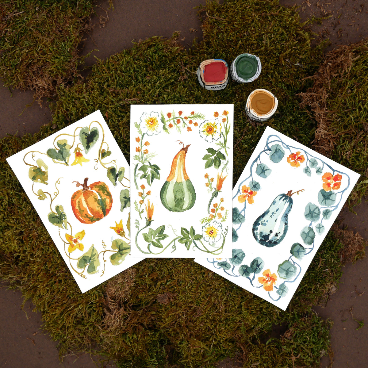 Antiquaria Mini Watercolor Kit: Gourds