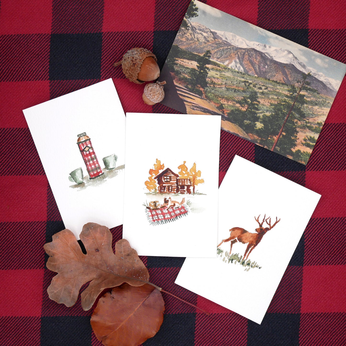 Antiquaria Mini Watercolor Kit: Woodland Friends