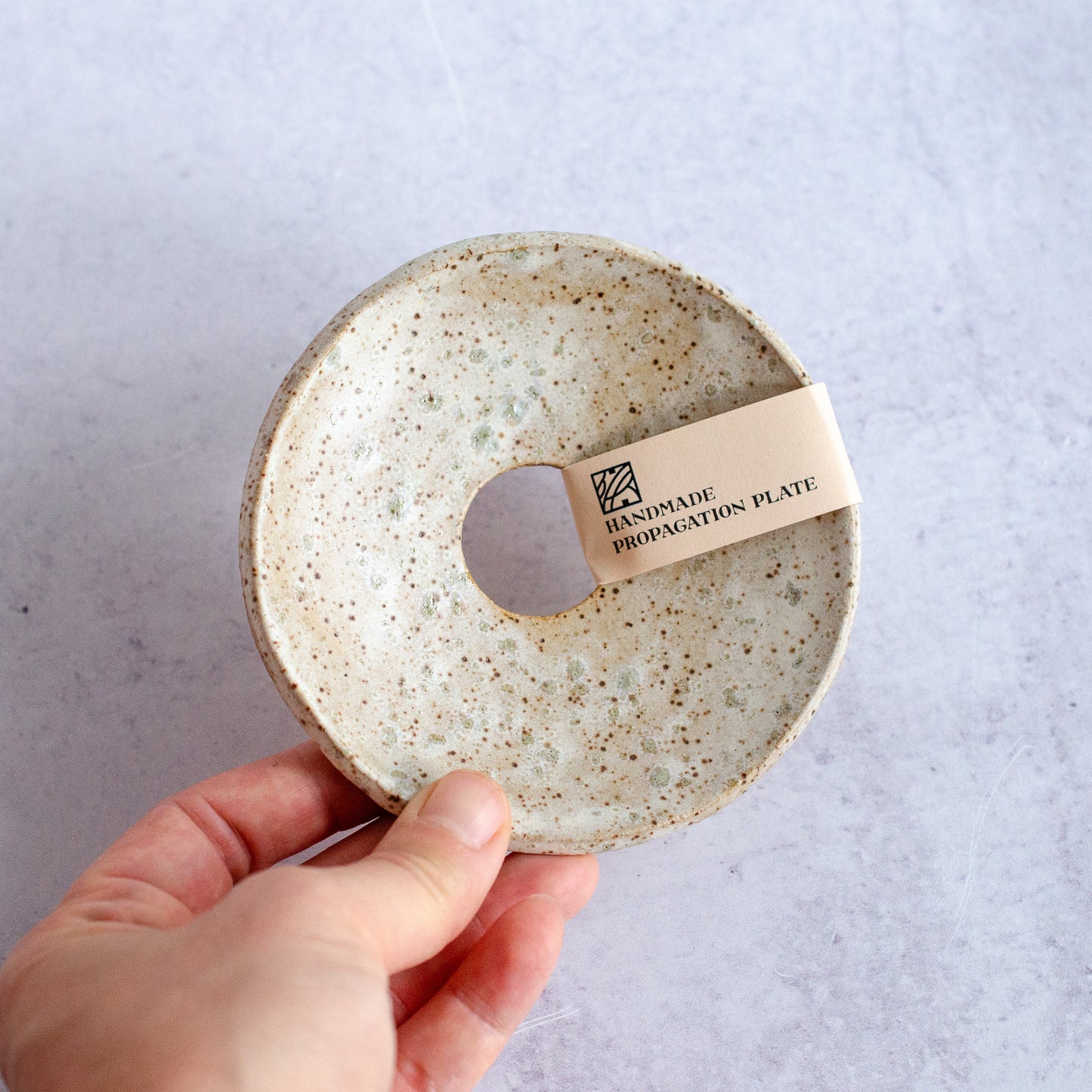 Handmade Plant Propagation Plate, Salt Stone | MADE TO ORDER