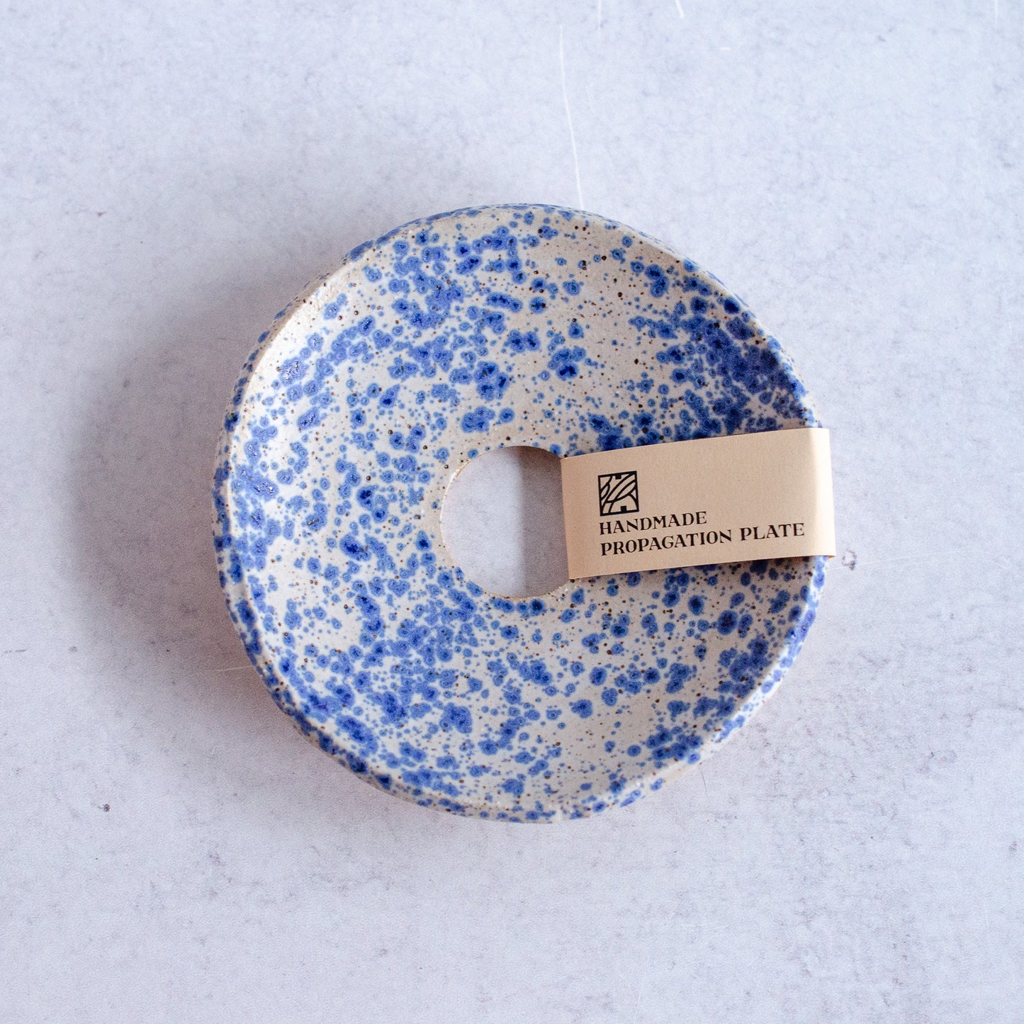 Handmade Plant Propagation Plate, Blue Speckle | MADE TO ORDER