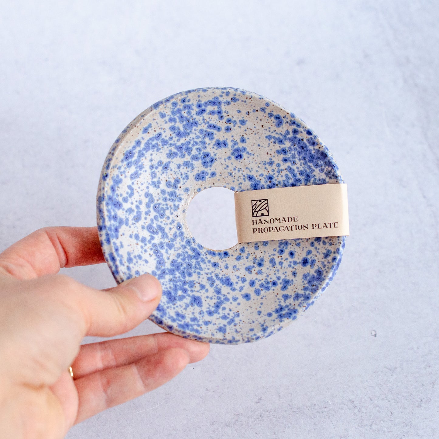 Handmade Plant Propagation Plate, Blue Speckle | MADE TO ORDER