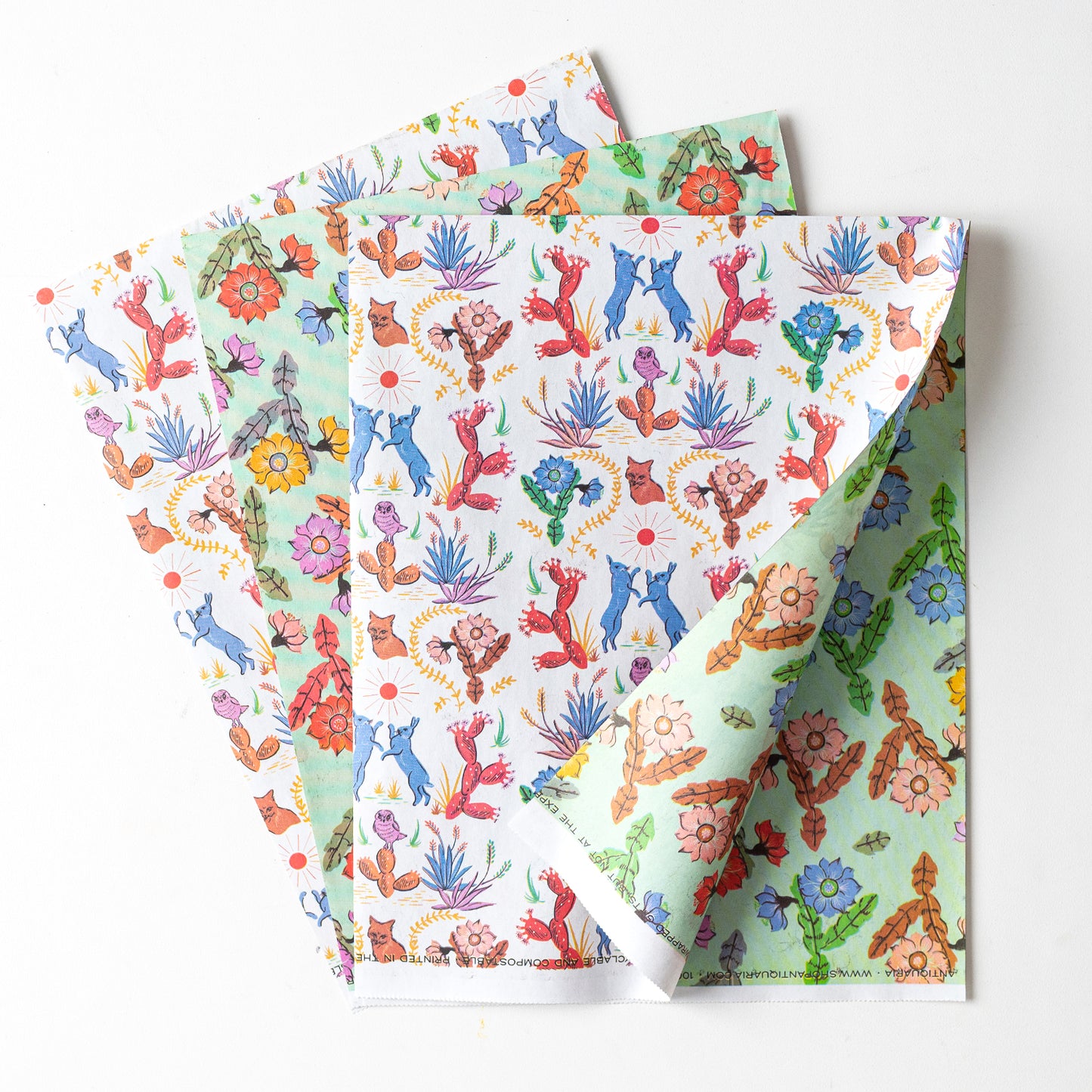 Eco-friendly double-sided gift wrap featuring vibrant desert flora designs on both sides one hundred percent recyclable and compostable.