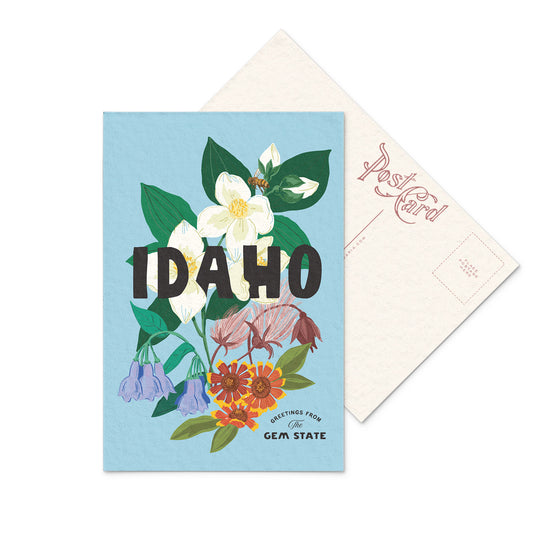 Idaho State Wildflower Postcard