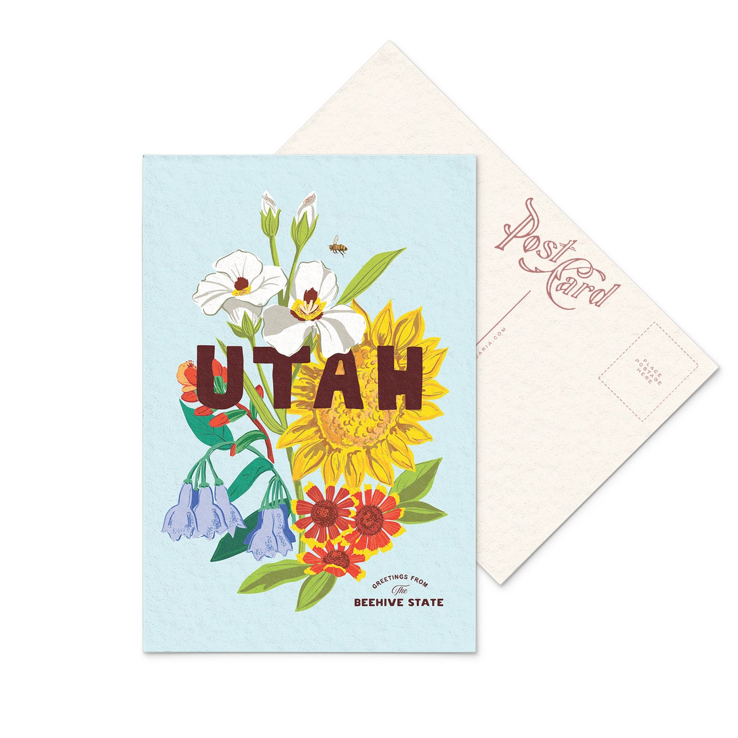 Utah Wildflowers Postcard