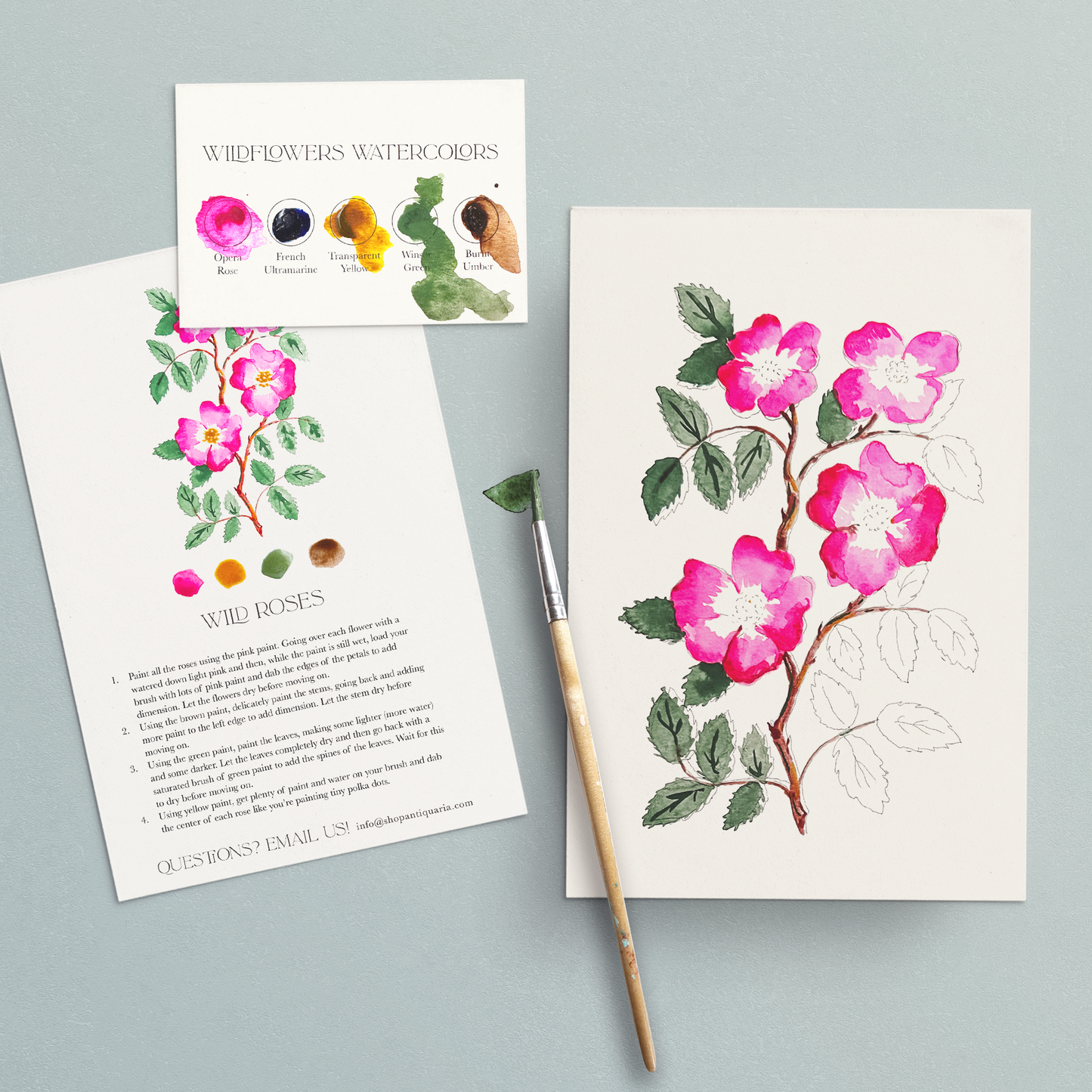 Antiquaria Watercolor Painting Kit – Floral Series (Includes Paint) | Beginner-Friendly DIY Art Kit