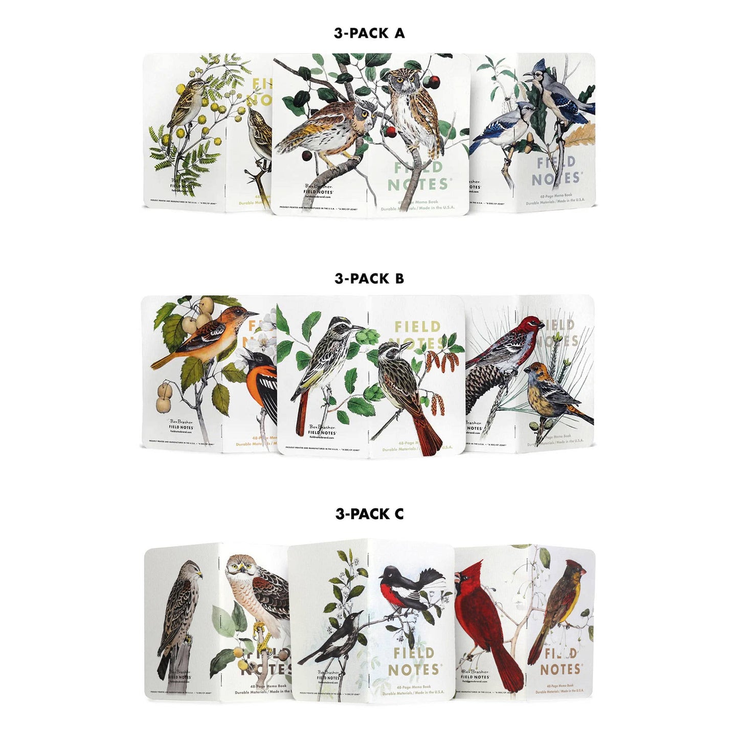Birds and Trees of North America: Pack A: Screech Owl - Blue Jay - Brewer Sparrow