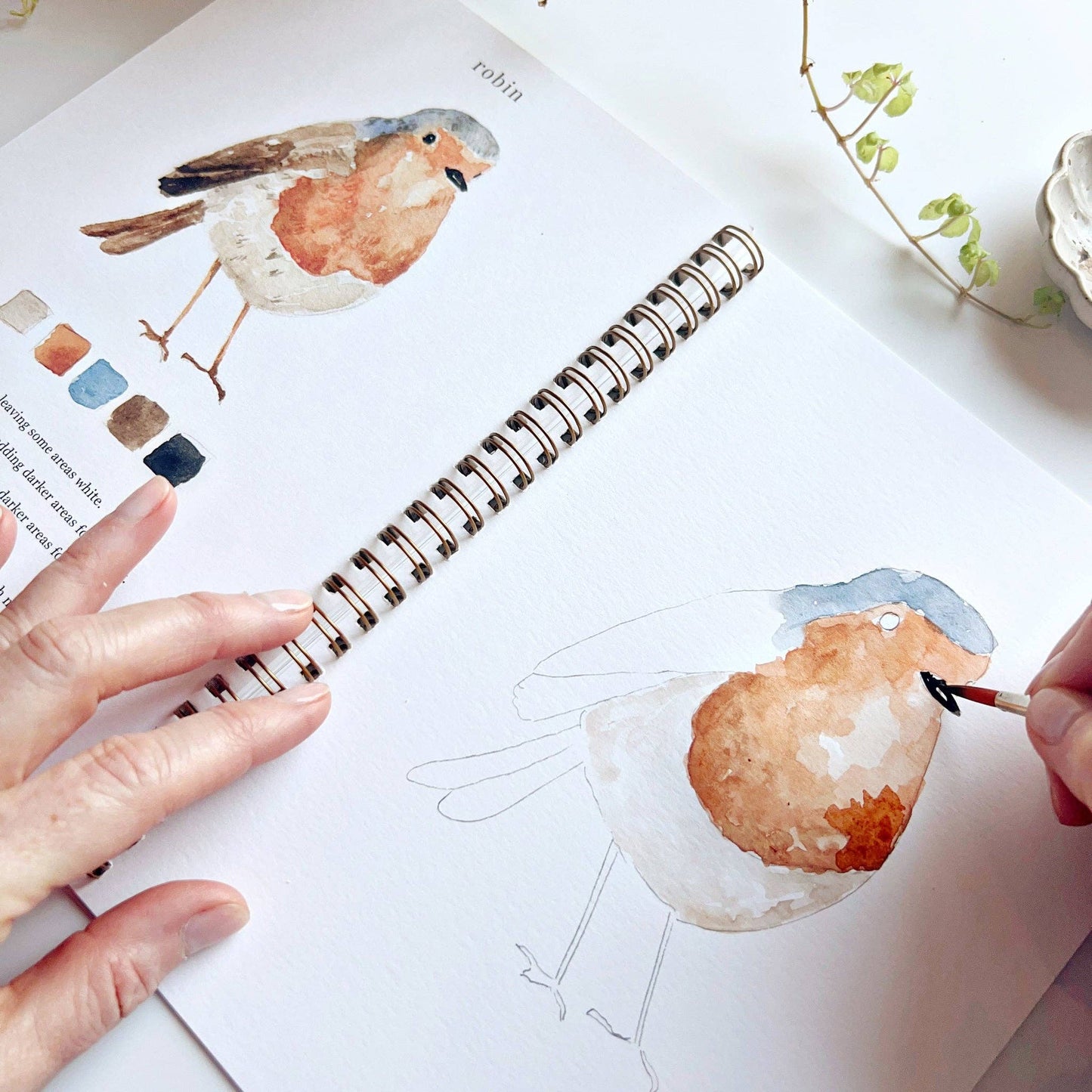 Emily Lex Birds watercolor workbook