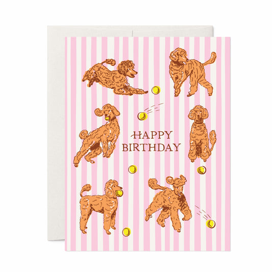 Birthday Poodles A2 Greeting Card