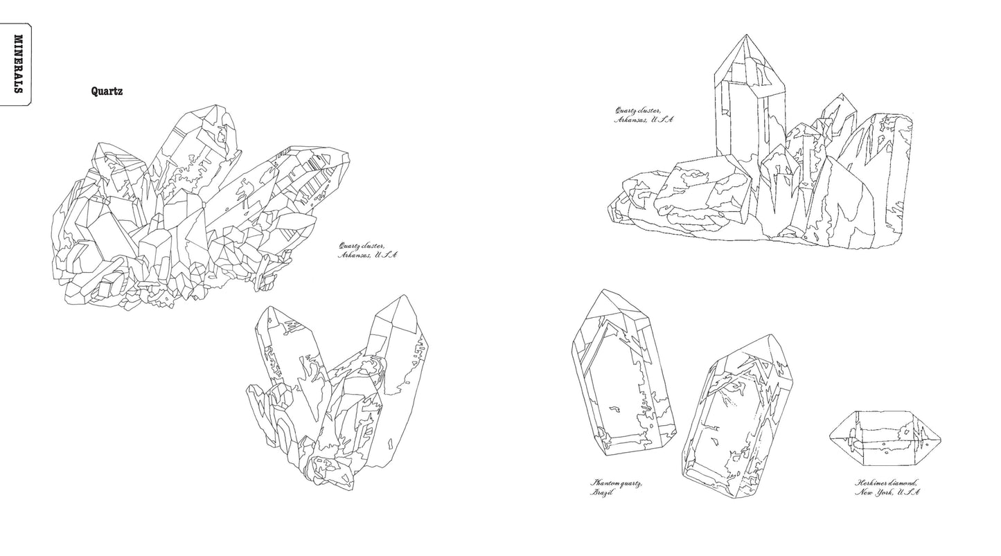 Curious Nature Coloring Journal