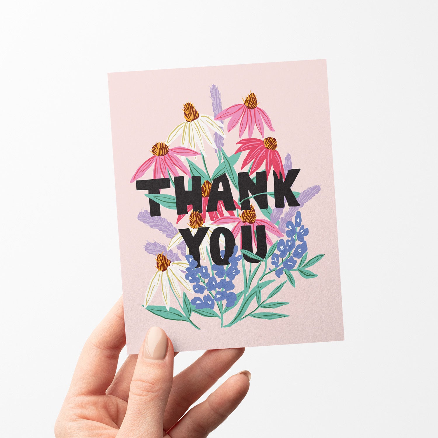 Thank you card featuring a beautiful cone flower illustration with soft, vibrant colors on a pink background with bold type face saying "thank you"