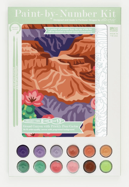 Paint by number kit featuring a the beautiful grand canyon, includes canvas, paint set, and brushes."