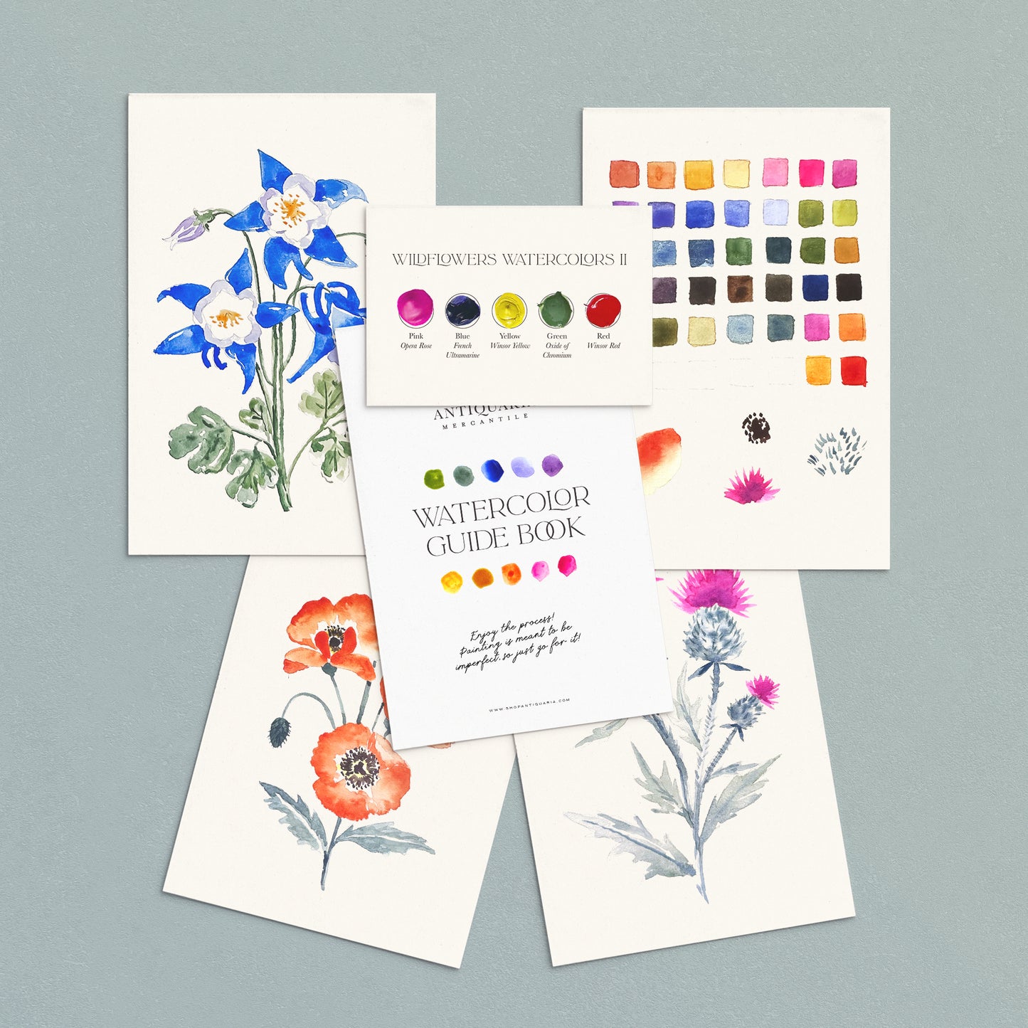 Antiquaria Wildflowers No. 2 Watercolor Kit with watercolor paper, paint swatches, and guide book on a gray background