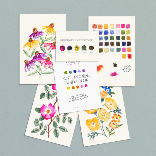 Wildflowers watercolor kit with watercolor paper, guide book, and color swatches on a gray background