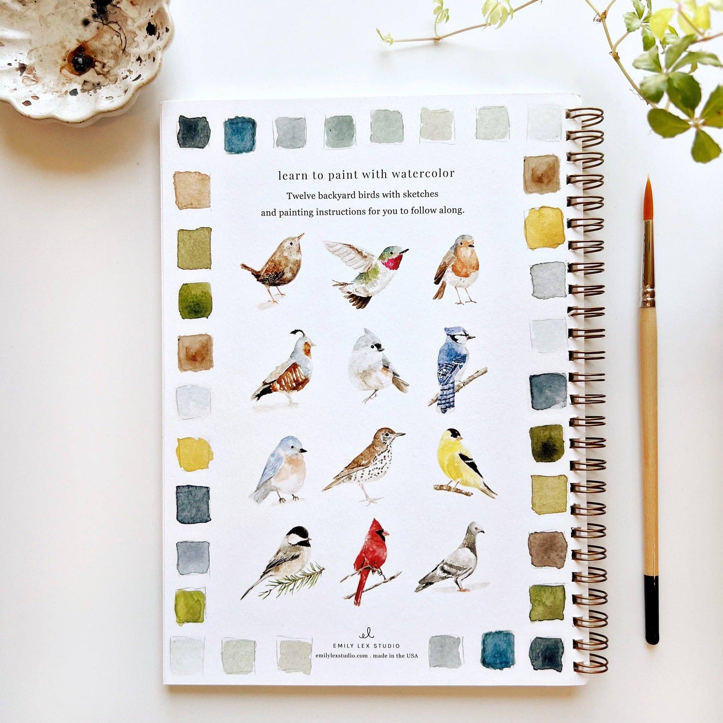 Emily Lex Birds watercolor workbook