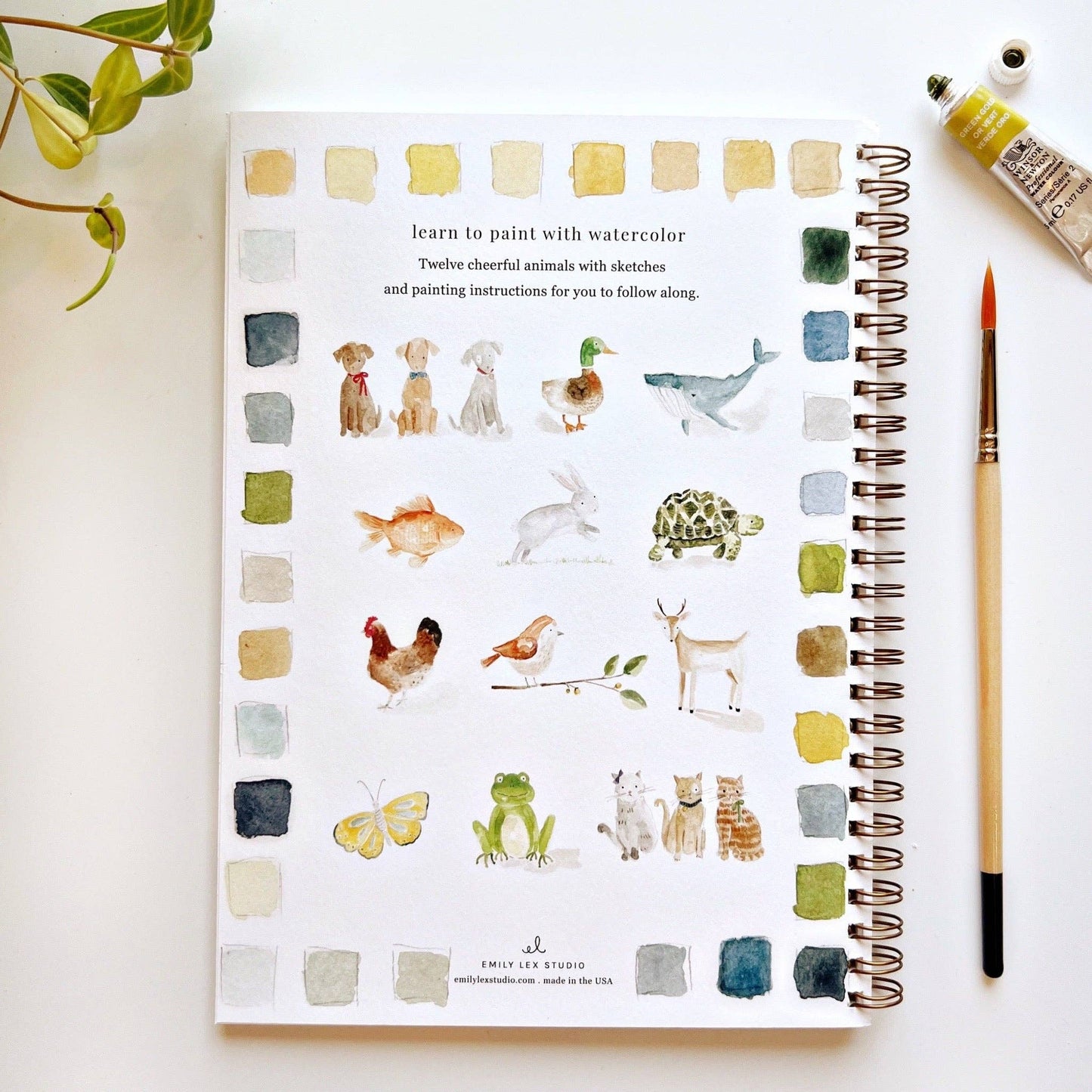 Emily Lex Animals watercolor workbook