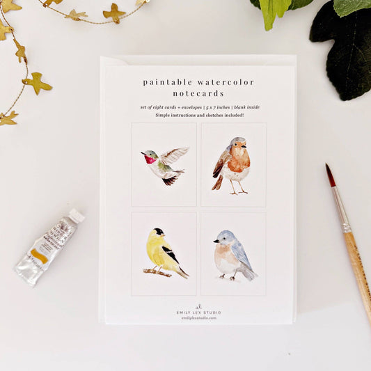 Backyard birds paintable watercolor notecard set
