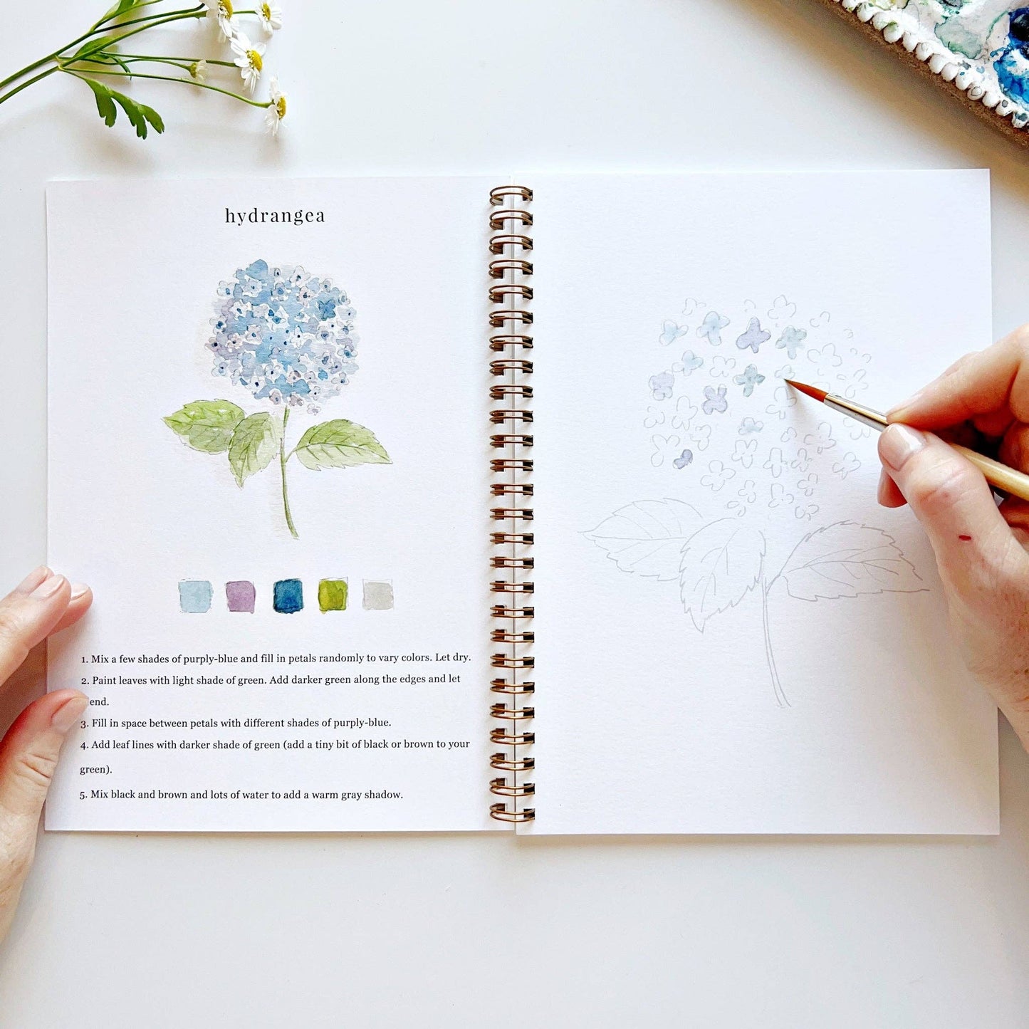 Emily Lex Flowers watercolor workbook