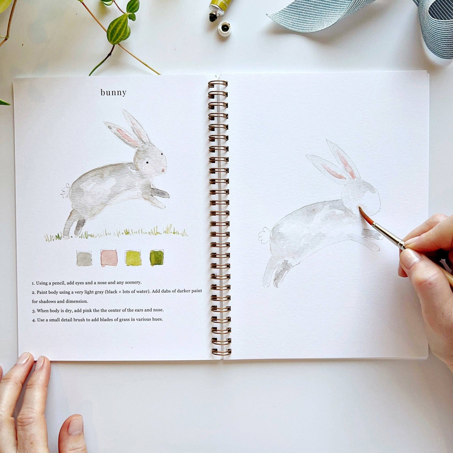 Emily Lex Animals watercolor workbook