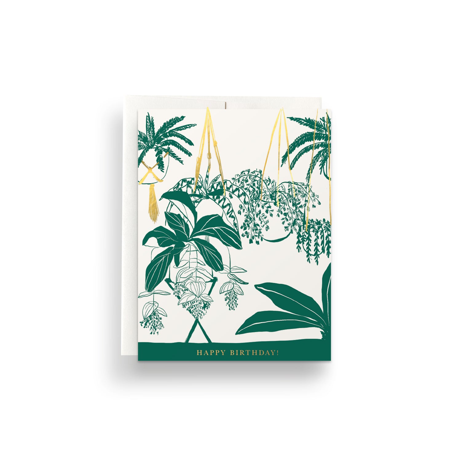 Charming birthday card with illustrations of various houseplants in pots, perfect for plant lovers and indoor gardening enthusiasts.