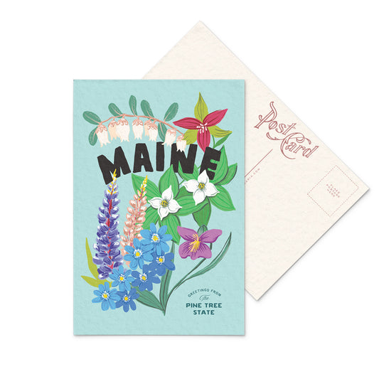 Maine postcard featuring the lovely White Pine Cone and Tassel, in a beautiful bouquet show casing the many wildflowers symbolizing the state’s natural beauty.