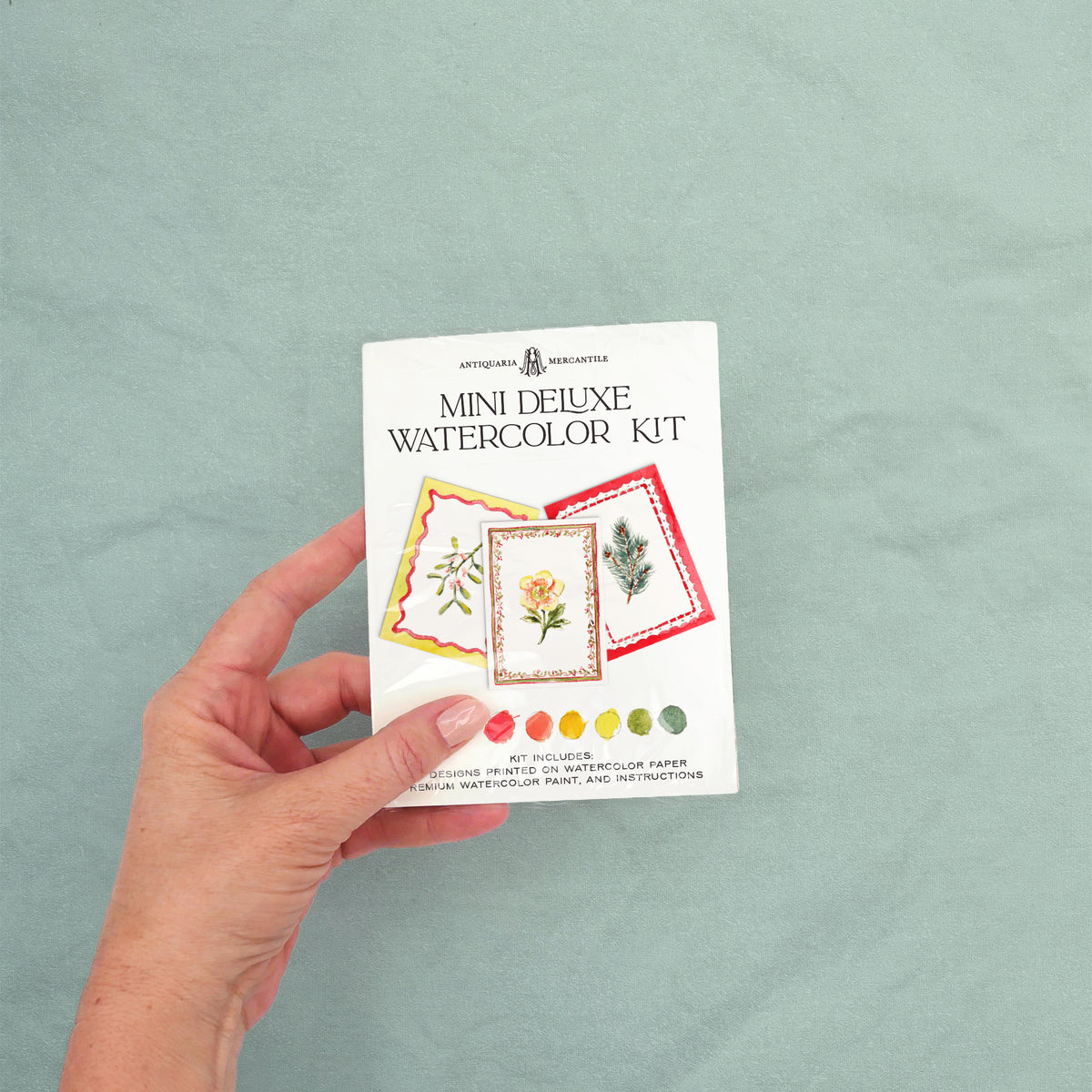 Mini Watercolor Kit: Winter Botanical
