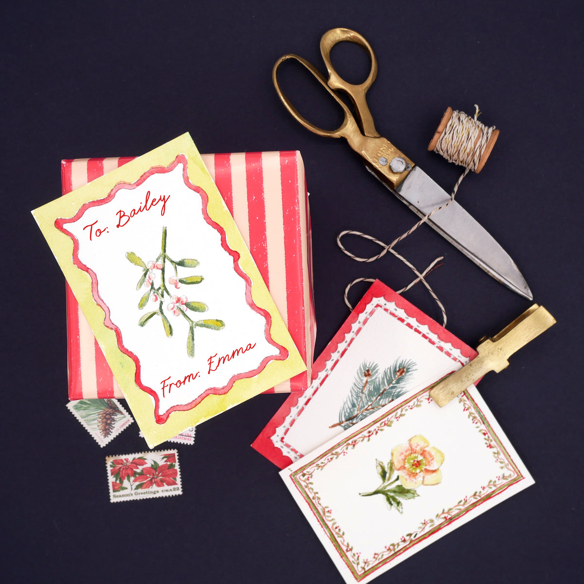 Mini Watercolor Kit: Winter Botanical