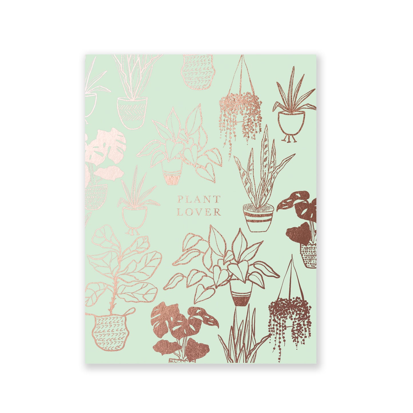 Mint colored softcover staple-bound notebook featuring gold foil house plant designs. Blank interior pages. 