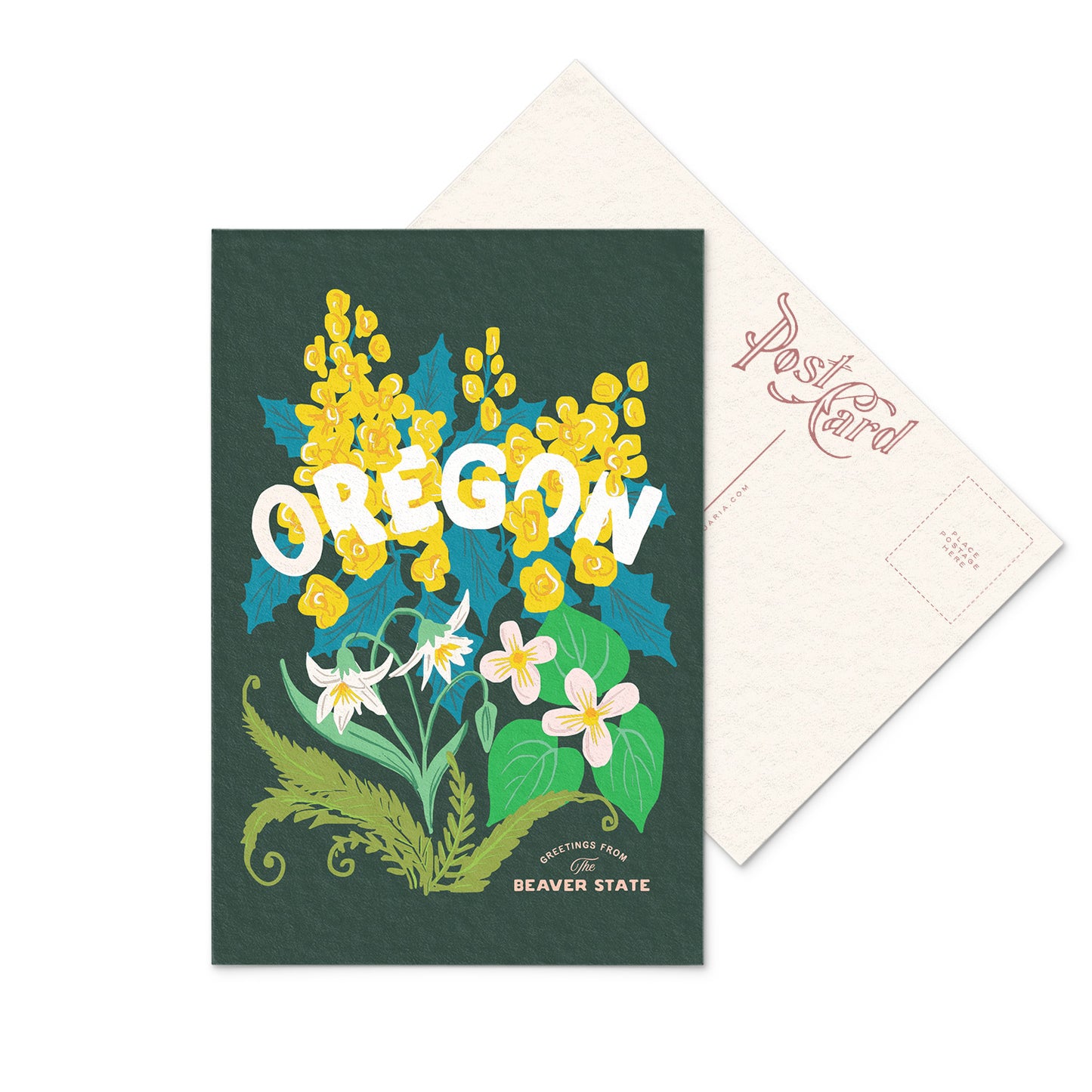 Charming Oregon postcard featuring the Oregon Grape, a bright yellow flower surrounded by green leaves.