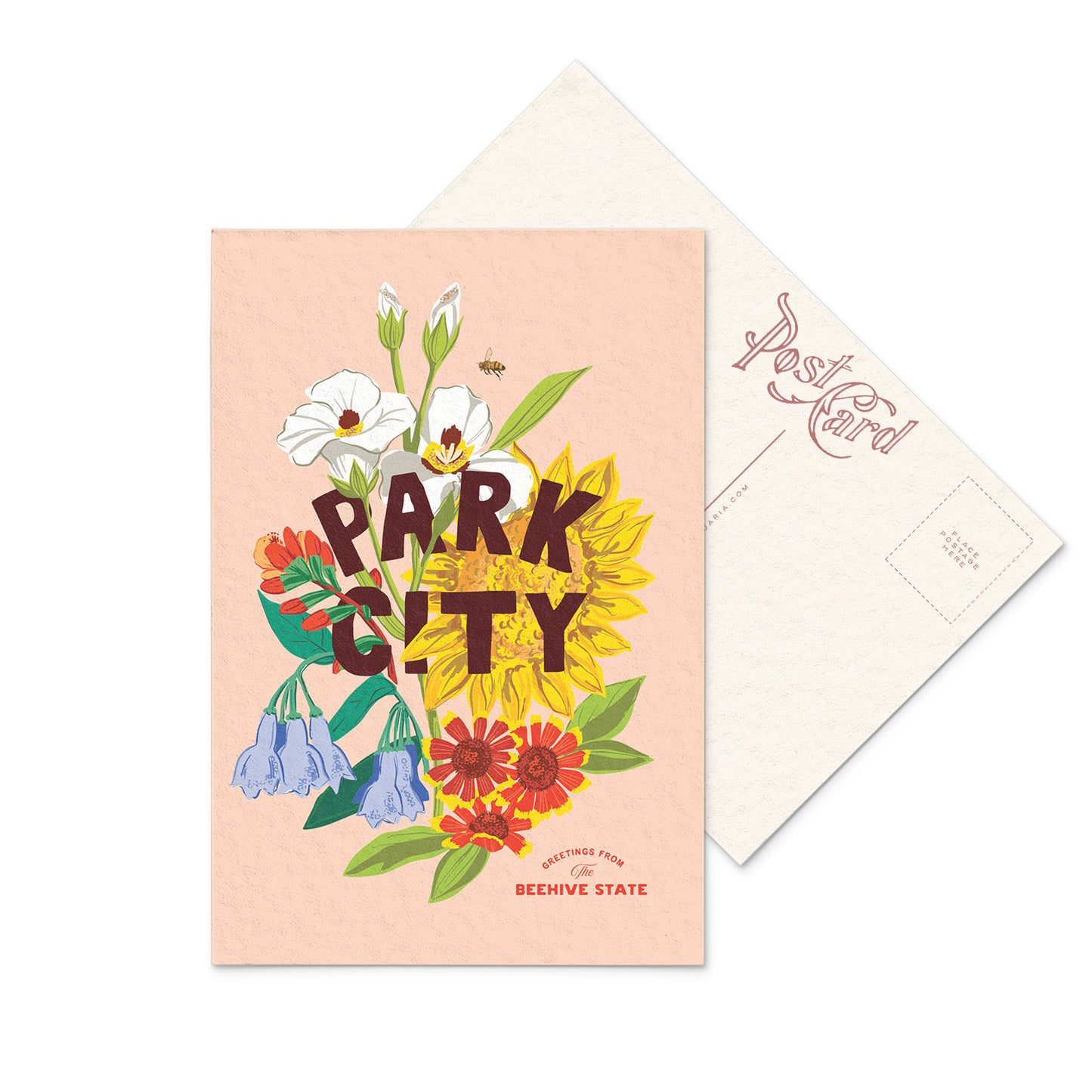 Park City Wildflowers Postcard