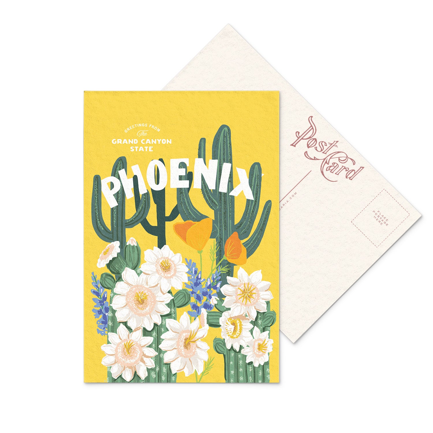 Colorful postcard of Phoenix, Arizona featuring the Saguaro Cactus Blossom, the state's vibrant and unique flower.