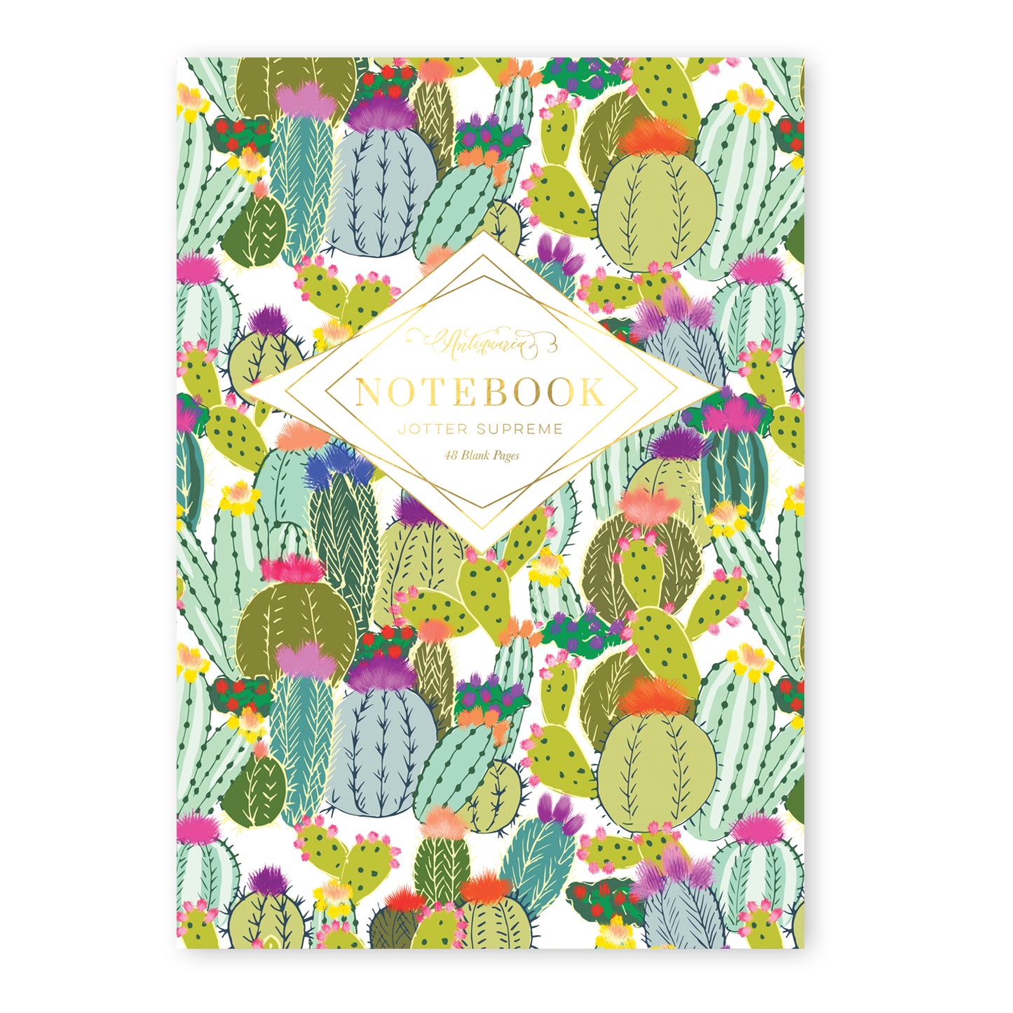 an explosion of colorful cactus on a  softcover staple-bound notebook . Blank interior pages. 