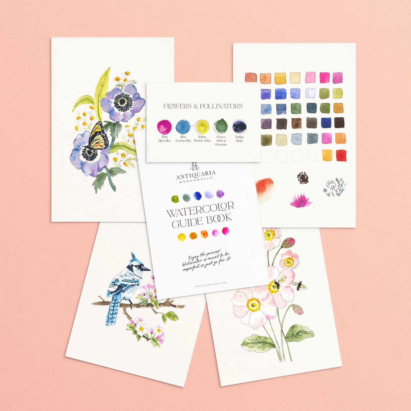 Antiquaria Watercolor Kit: Friend of the Pollinators
